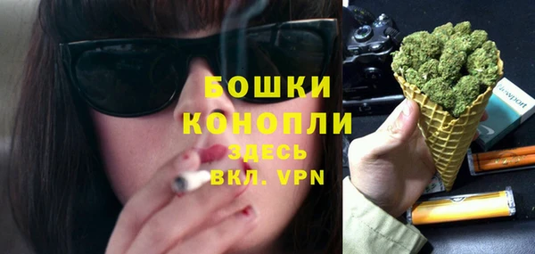 спайс Богданович