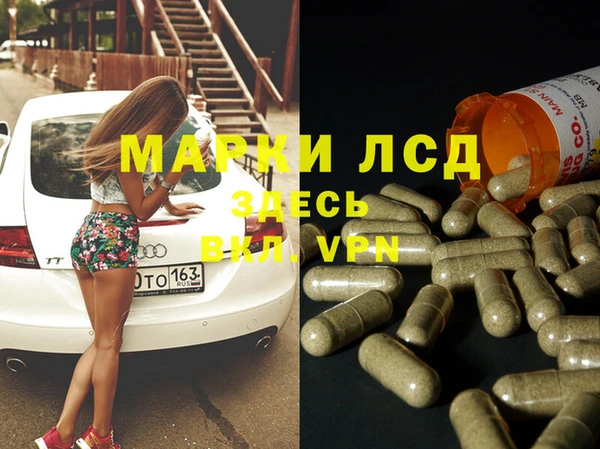 спайс Богданович