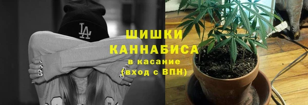 мдпв Богородицк