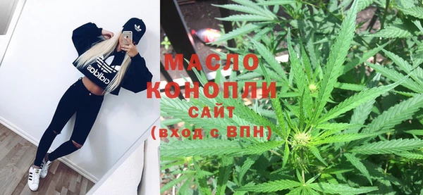 мдпв Богородицк