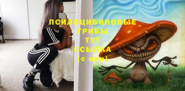 крисы Баксан