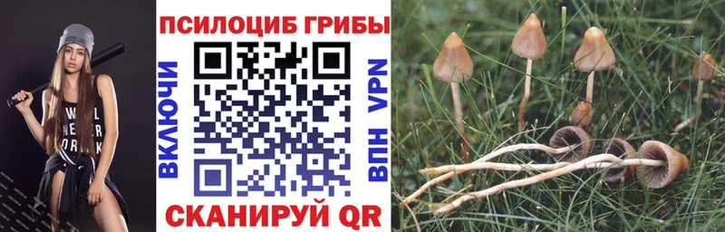 Галлюциногенные грибы ЛСД  закладка  Валуйки 